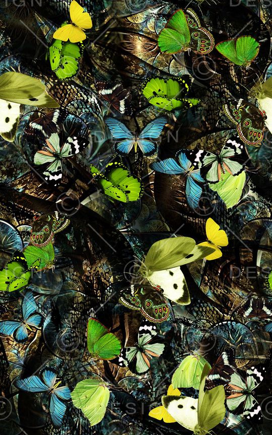 昆虫印花华亿平台图片