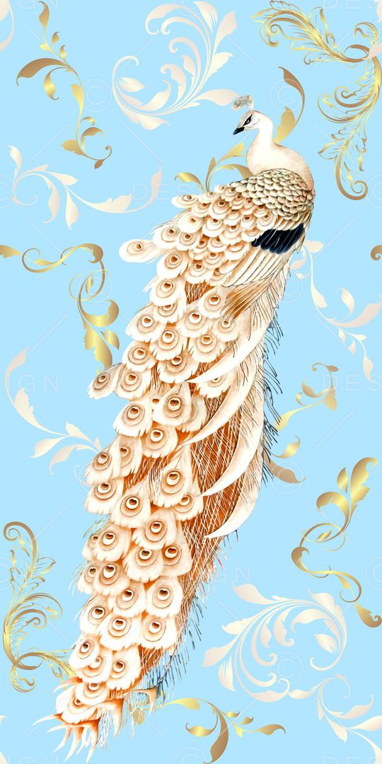 凤凰印花华亿平台图片