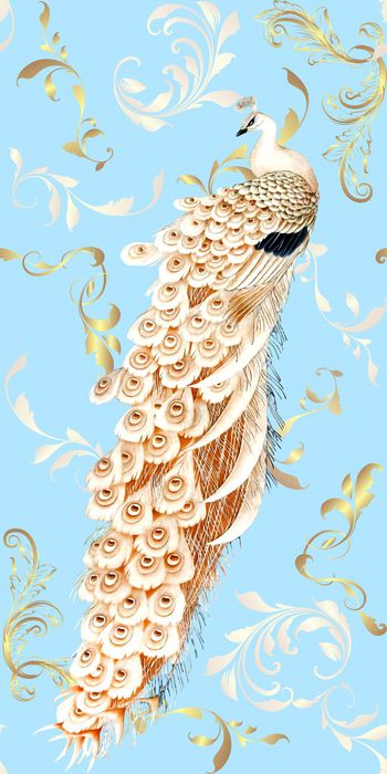 凤凰印花华亿平台图片