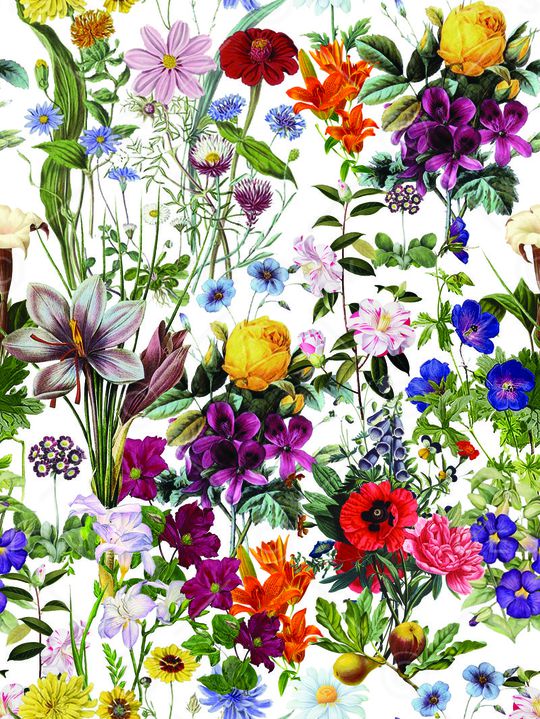 百合印花华亿平台图片