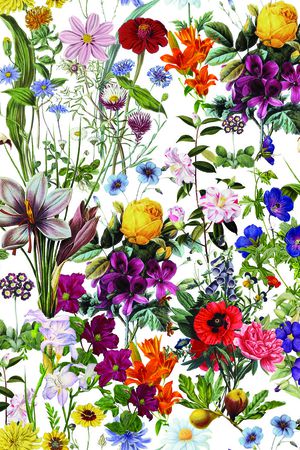 百合印花华亿平台图片