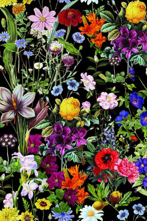 百合印花华亿平台图片