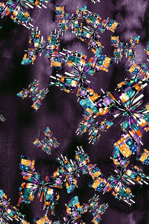 昆虫印花华亿平台图片