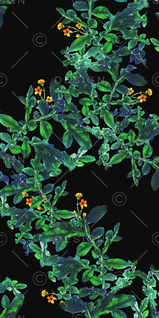 乱花印花华亿平台图片