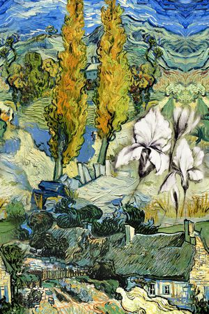 风景印花华亿平台图片