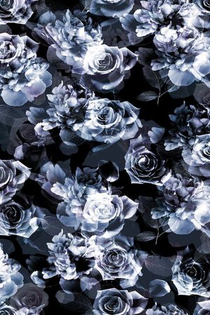 杜嘉班纳Dolce&Gabbana印花华亿平台图片