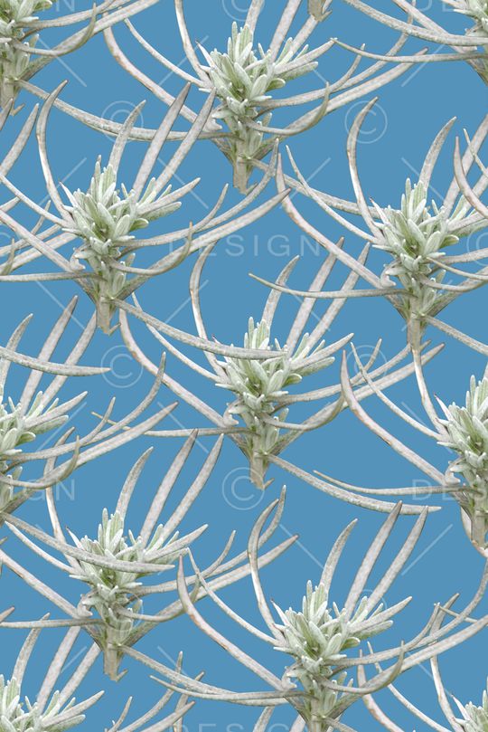 1抽象植物印花印花华亿平台图片