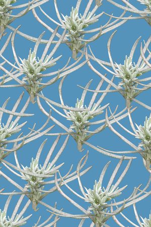 1抽象植物印花印花华亿平台图片