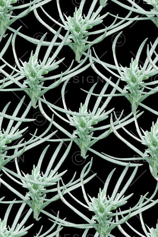 1抽象植物印花印花华亿平台图片