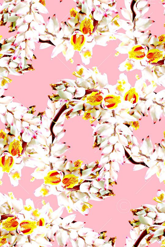 抽象植物花卉印花印花华亿平台图片