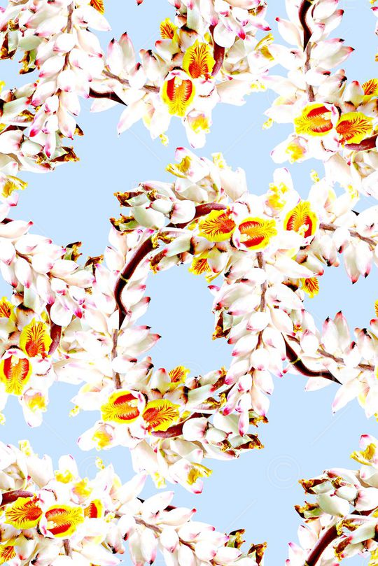 抽象植物花卉印花印花华亿平台图片