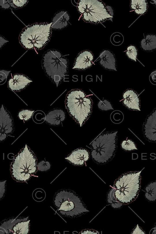 树叶纹理印花华亿平台图片