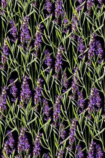 抽象手绘满版花卉印花华亿平台图片