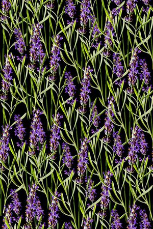 抽象手绘满版花卉印花华亿平台图片