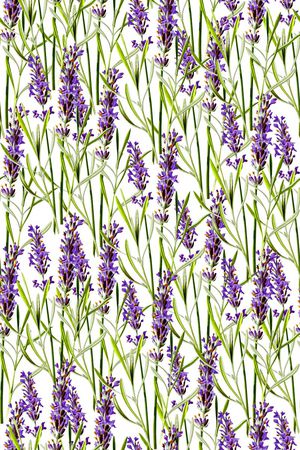 抽象手绘满版花卉印花华亿平台图片