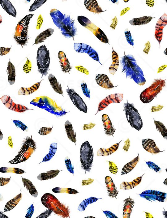 羽毛印花华亿平台图片