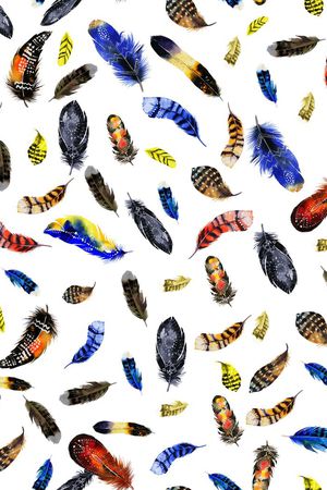 羽毛印花华亿平台图片