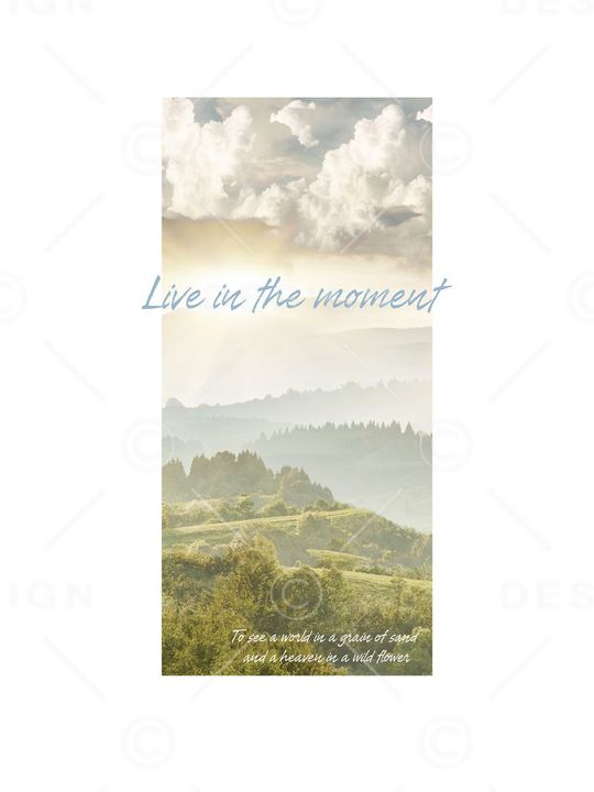 森林印花华亿平台图片