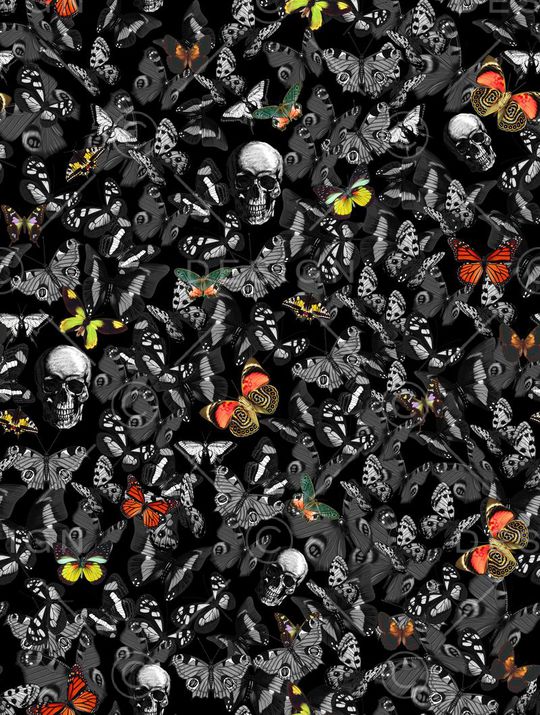 昆虫印花华亿平台图片