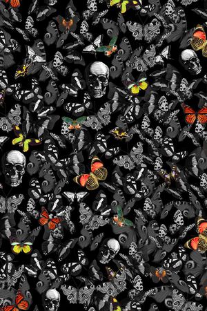 昆虫印花华亿平台图片