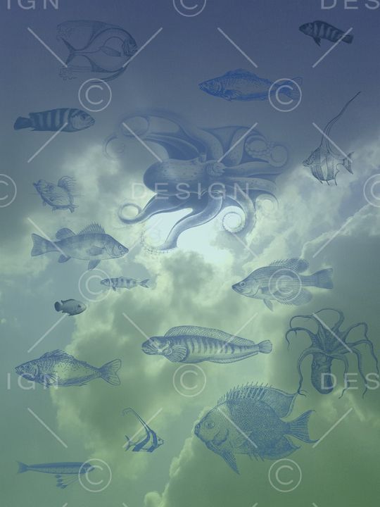 衬衫印花华亿平台图片