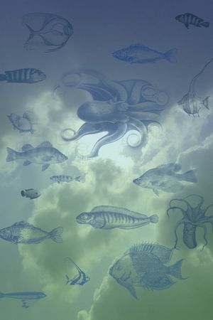 衬衫印花华亿平台图片