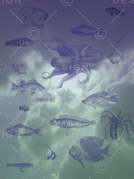 衬衫印花华亿平台图片