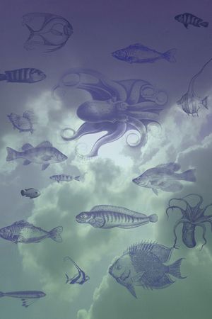 衬衫印花华亿平台图片