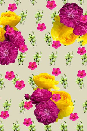 colorise印花华亿平台图片