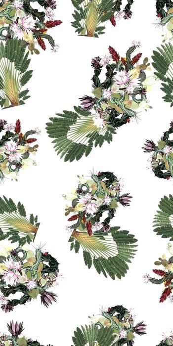 热带印花华亿平台图片