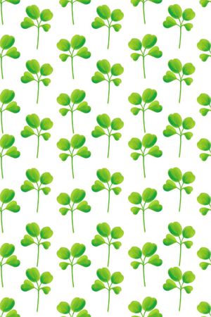 卡通婴童印花华亿平台图片