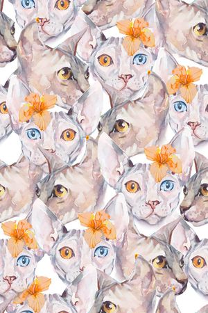 时尚女装印花华亿平台图片