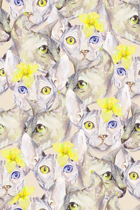 时尚女装印花华亿平台图片