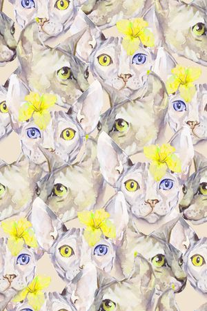 时尚女装印花华亿平台图片