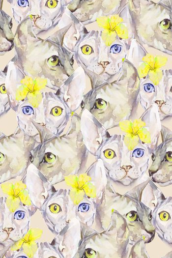 710917-戴花的猫黄