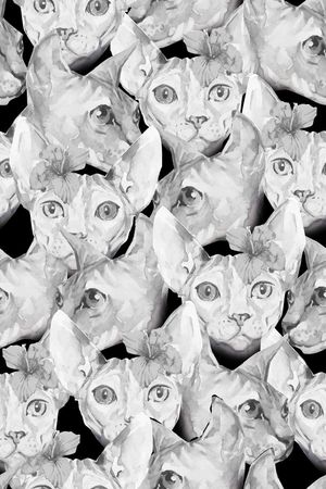 时尚女装印花华亿平台图片