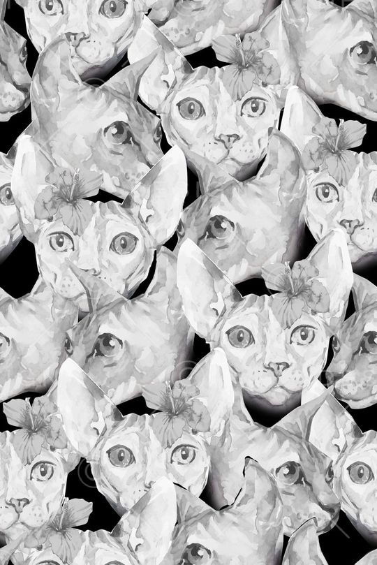 时尚女装印花华亿平台图片