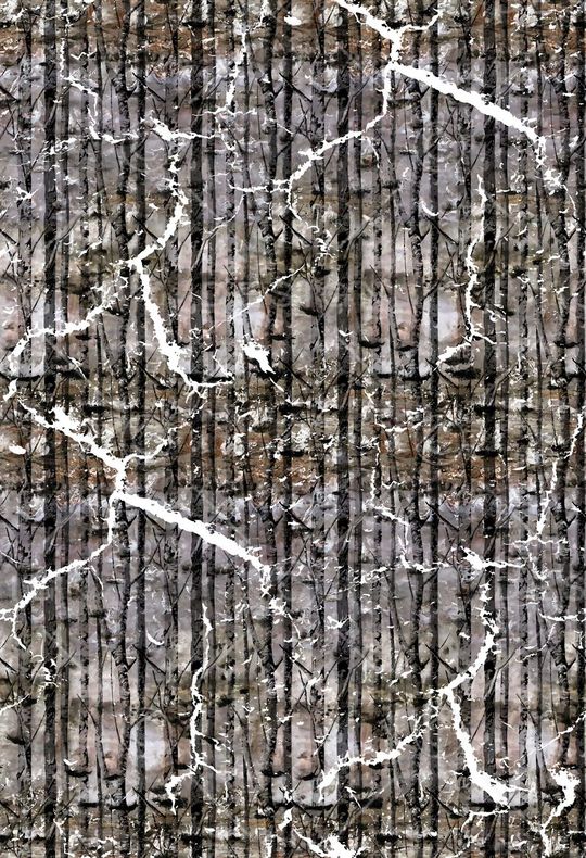 树枝纹理印花华亿平台图片