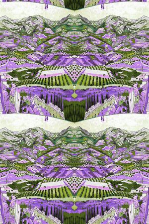 树林印花华亿平台图片