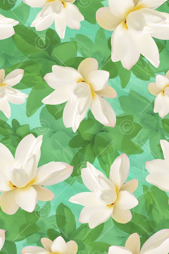 荷花印花华亿平台图片