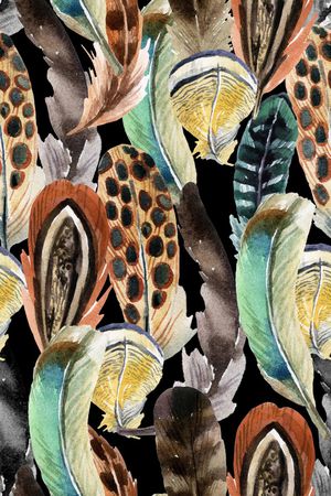 羽毛印花华亿平台图片