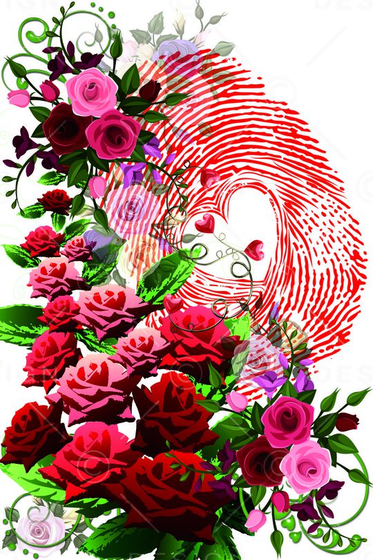 kidswear印花华亿平台图片