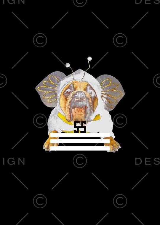 个性印花华亿平台图片