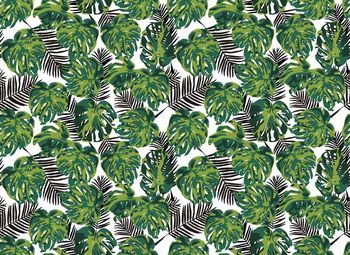 龟背叶印花华亿平台图片