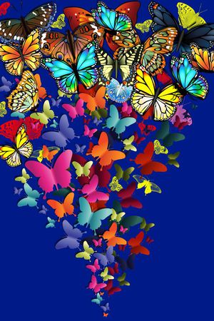 kidswear印花华亿平台图片