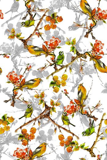 711487-2016-9-18水彩果实花鸟1