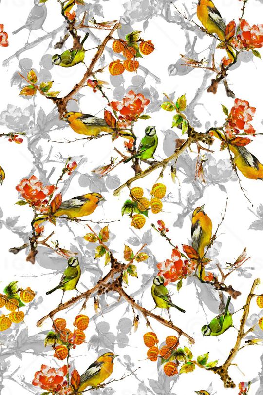 鸟印花华亿平台图片