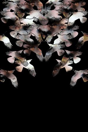 飞鸟印花华亿平台图片