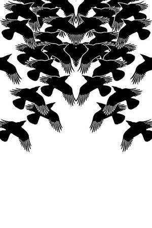 飞鸟印花华亿平台图片