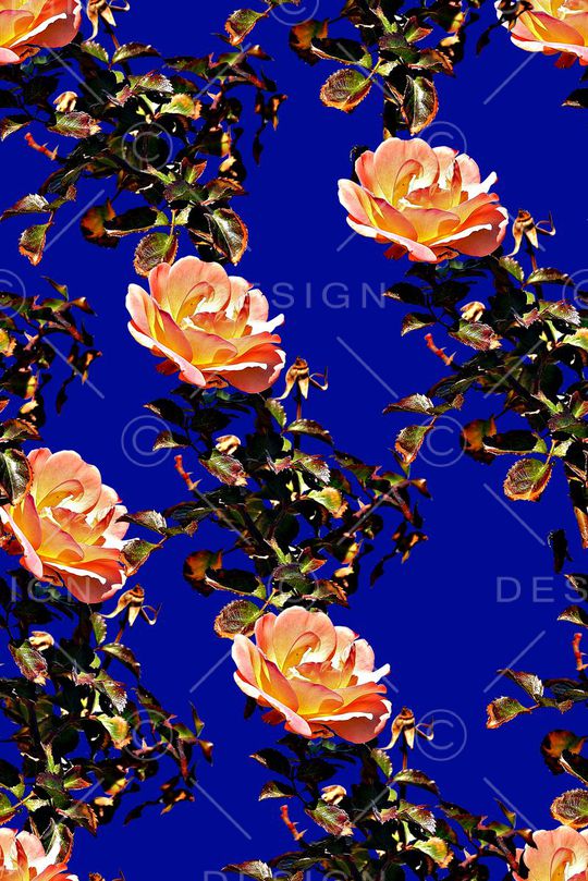 抽象手绘植物玫瑰花花卉数码印花印花华亿平台图片